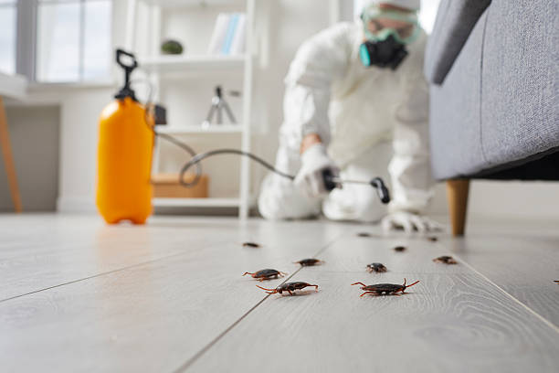 Commercial Kitchen Cockroach Control in Tolleson
